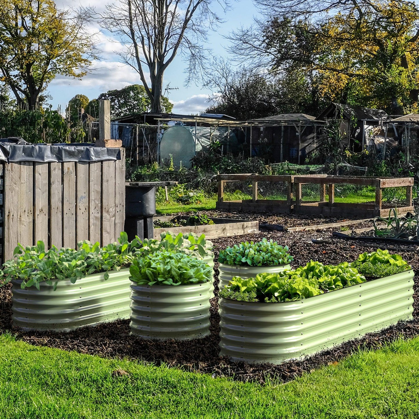 Grow your own Food: Garden Box Kit