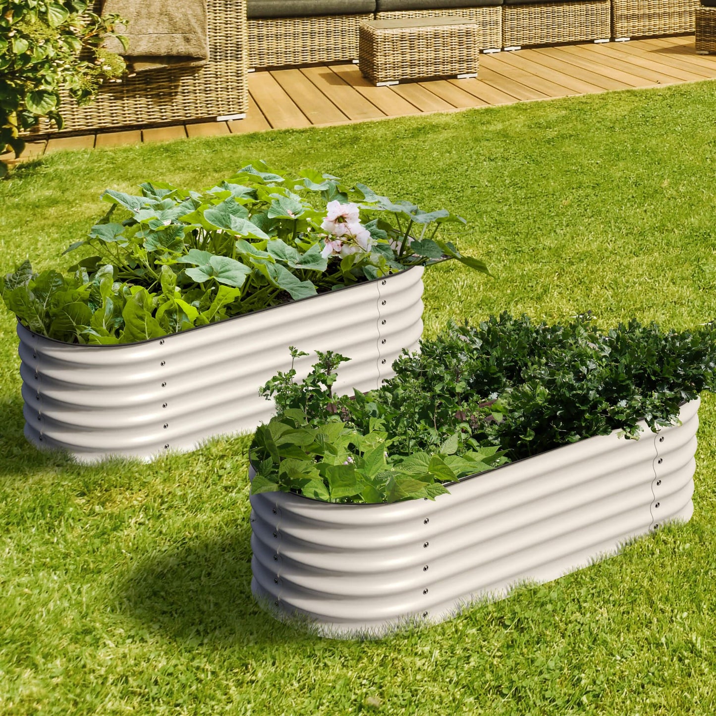 Grow your own Food: Garden Box Kit