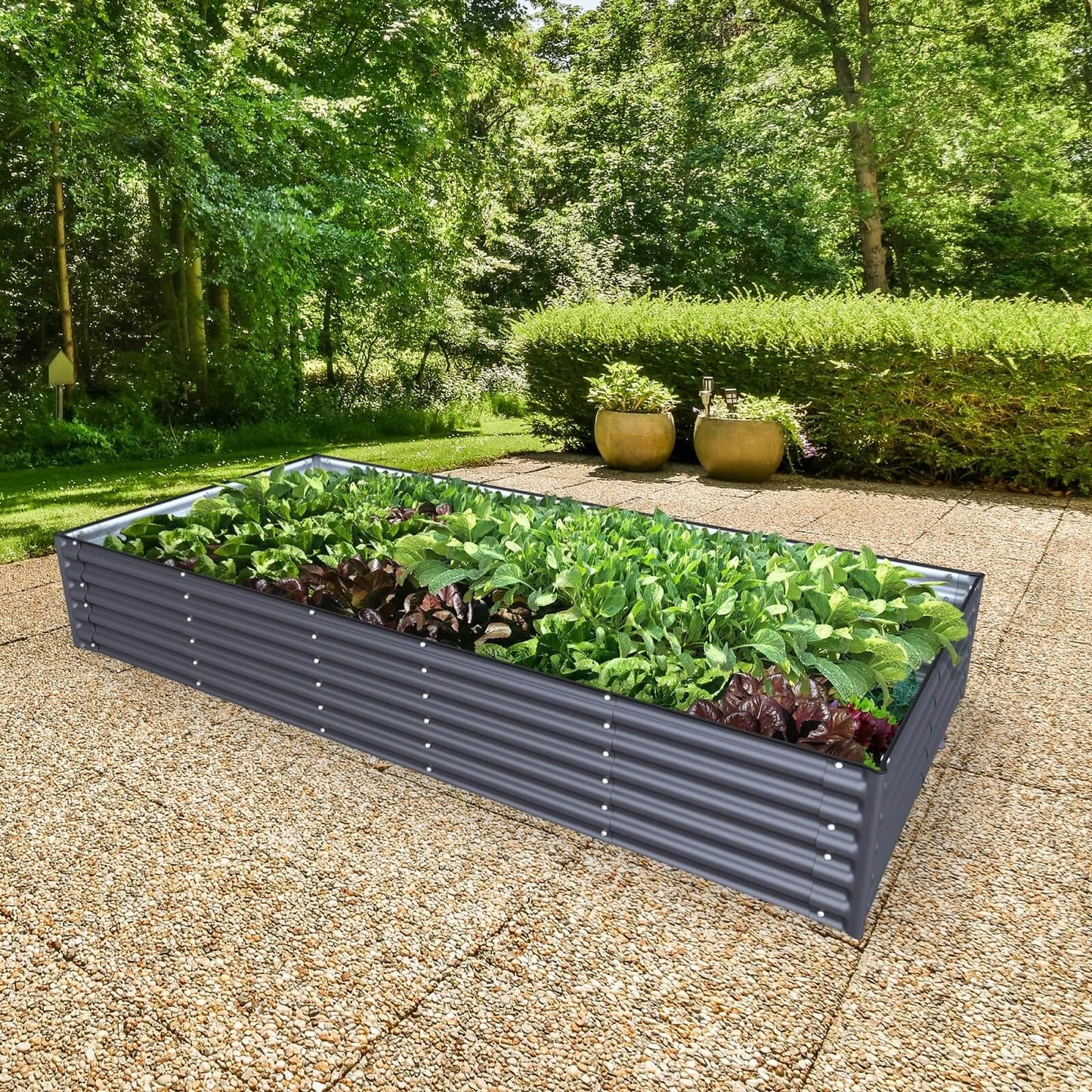 Planter Box Kit: Grow a lot of food in your own backyard! 👩‍🌾