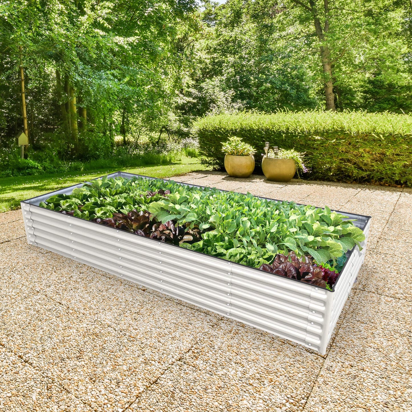 Planter Box Kit: Grow a lot of food in your own backyard! 👩‍🌾