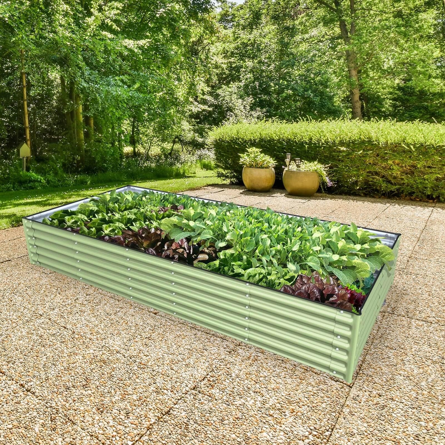 Planter Box Kit: Grow a lot of food in your own backyard! 👩‍🌾